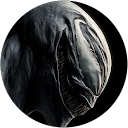 Profilbild von „Köse M.“